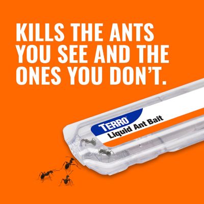 Image showing  2.2 fl. oz. Liquid Ant Baits, 6-Pack