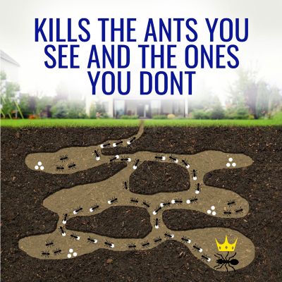 Image showing  1 oz. Liquid Ant Killer