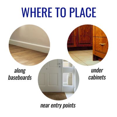 Image showing  1 oz. Liquid Ant Killer