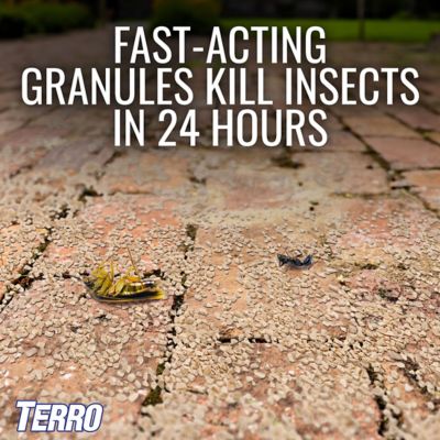 Image showing 5 th TERRO 3 lb. Ant Killer Plus Granules