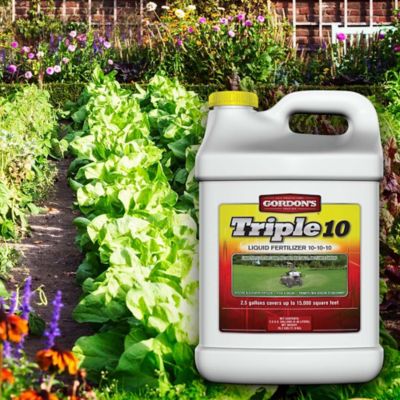 Image showing  2.5 gal. 15,000 sq. ft. Triple 10 Liquid Fertilizer