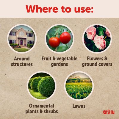 Image showing  32 oz. Insect Killer Concentrate