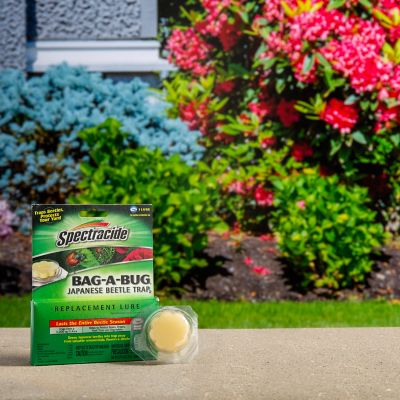 Image showing  Bag-A-Bug Japanese Beetle Trap Replacement Lure, 1 ct.