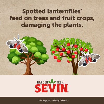 Image showing  32 oz. Ready-to-Spray Insect Killer