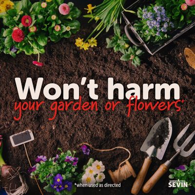 Image showing  32 oz. Ready-to-Spray Insect Killer