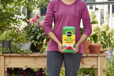 Image showing  5 lb. Water Soluble All-Purpose Plant Food