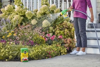 Image showing  5 lb. Water Soluble All-Purpose Plant Food