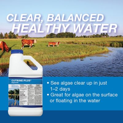 Image showing  Cutrine-Plus Algaecide Pond Treatment, 1 gal.