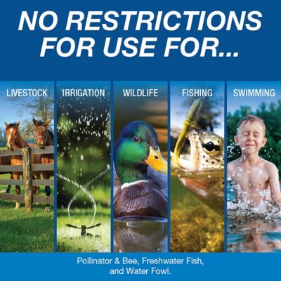 Image showing  Cutrine-Plus Algaecide Pond Treatment, 1 gal.