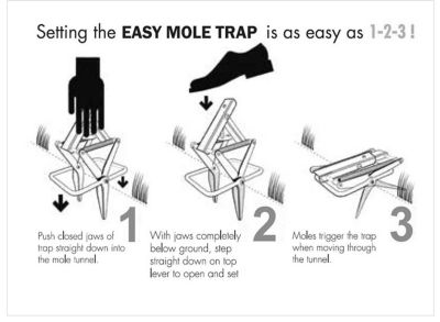 Image showing  Unlimited Mole Trap