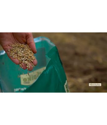 Image showing  Forage Feast Deer Food Plot Seed, 40 lb.