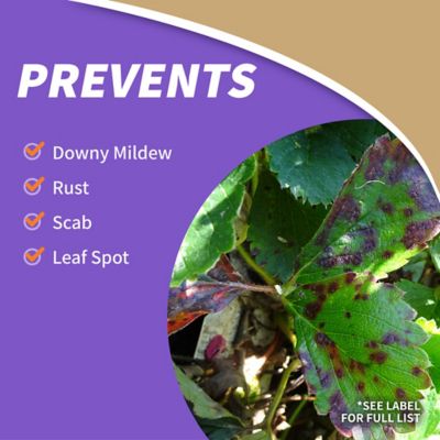 Image showing 5 th Bonide 32 oz. Captain Jack's Fruit Tree Spray Concentrate, Insect and Disease Control Spray for Organic Gardening