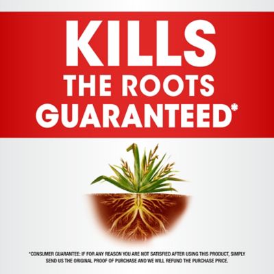 Image showing  36.8 oz. Plus Weed and Grass Killer Concentrate