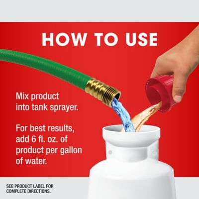 Image showing  36.8 oz. Plus Weed and Grass Killer Concentrate