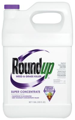 Roundup Super Concentrate Weed & Grass Killer, 1 gal.