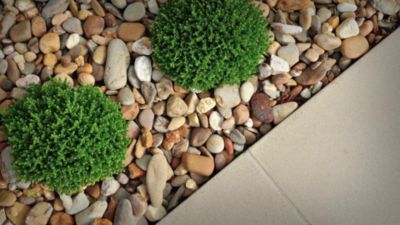 Image showing  1 gal. Super Concentrate Weed & Grass Killer