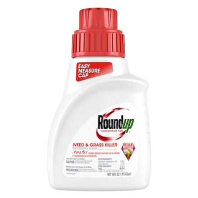 Roundup Concentrate Plus Weed And Grass Killer 16 Oz 5005501 At Tractor Supply Co