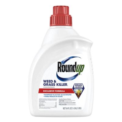 Roundup Weed & Grass Killer4 Concentrate, 64 fl. oz.