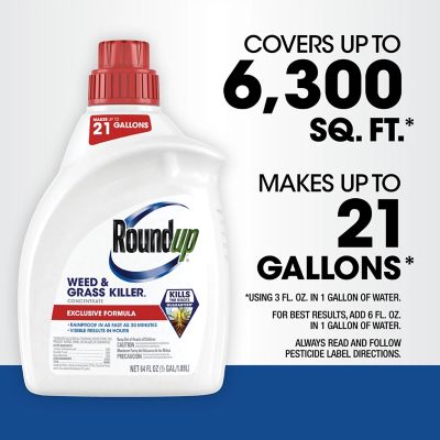 Image showing 8 th Roundup 64 fl. oz. Weed & Grass Killer4 Concentrate