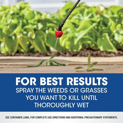 Image showing 10 th Roundup 64 fl. oz. Weed & Grass Killer4 Concentrate