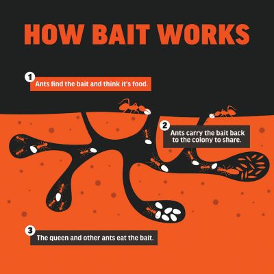 Image showing 8 th Amdro 1 lb. Fire Ant Killer Mound Bait