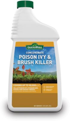 GroundWork 1 qt. 10,000 sq. ft. Poison Ivy and Brush Killer, Concentrate