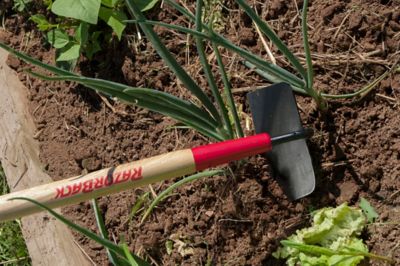 Image showing  60 in. Hardwood Handle Cotton Garden Hoe