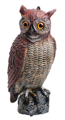 Groundwork Owl Decoy At Tractor Supply Co