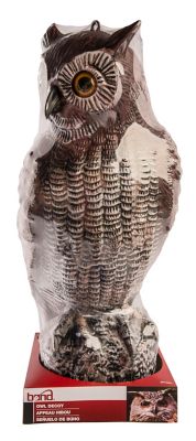 Image showing  16.5 in. Owl Decoy