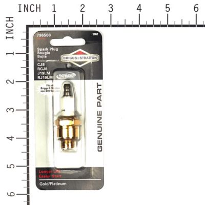Image showing  Spark Plug for Briggs & Stratton Models