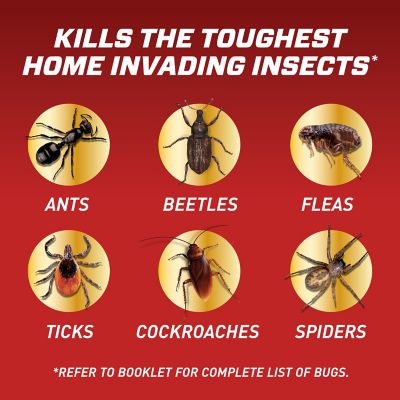 Image showing  24 oz. Home Defense Insect Killer for Indoor & Perimeter 2, Ready-to-Use