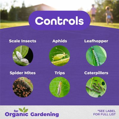 Image showing  32 oz. All Seasons Horticultural and Dormant Spray Oil Concentrate, Disease Prevention and Insect Killer