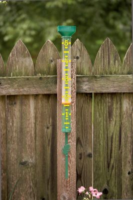 Image showing  Original Rain Gauge, Green
