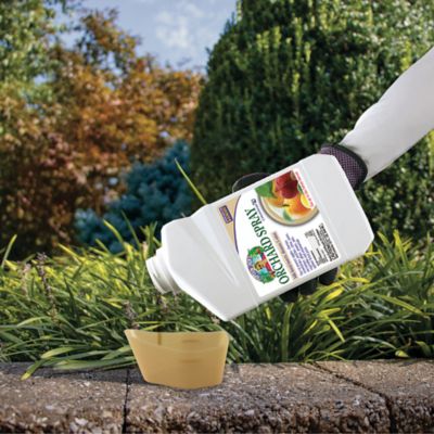 Image showing  32 oz. Captain Jack's Citrus, Fruit and Nut Orchard Spray Concentrate, Multi-Purpose Fungicide, Insecticide and Miticide