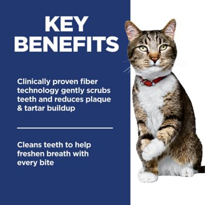 Image showing  Adult Indoor/Outdoor Oral Care Chicken Formula Dry Cat Food