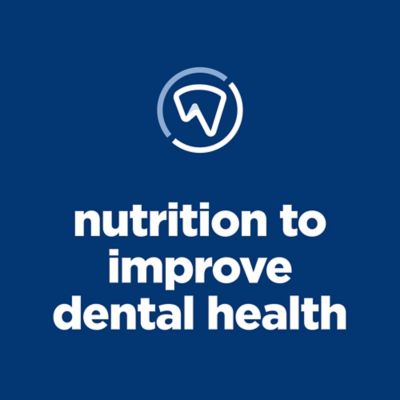 Image showing  Adult Indoor/Outdoor Oral Care Chicken Formula Dry Cat Food