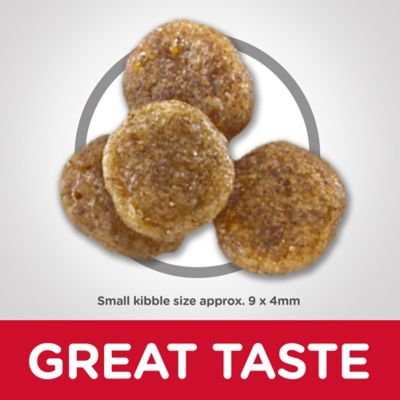 Image showing  Senior Adult 7+ Small Bites Chicken Recipe Dry Dog Food