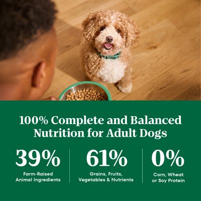 Image showing 7 th Nutro Natural Choice Adult Small Bites Lamb and Brown Rice Recipe Dry Dog Food