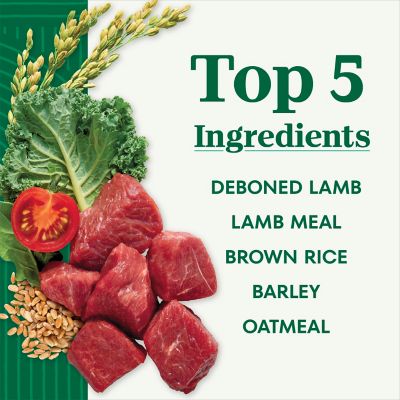 Image showing  Adult Small Bites Lamb and Brown Rice Recipe Dry Dog Food