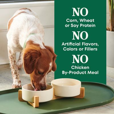 Image showing 6 th Nutro Natural Choice Adult Small Bites Lamb and Brown Rice Recipe Dry Dog Food