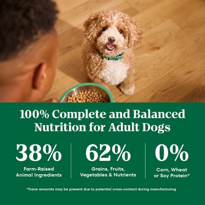 Image showing 7 th Nutro Natural Choice Adult Small Bites Lamb and Brown Rice Recipe Dry Dog Food