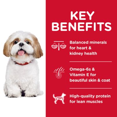 Image showing  Senior Adult 7+ Small Bites Chicken Recipe Dry Dog Food