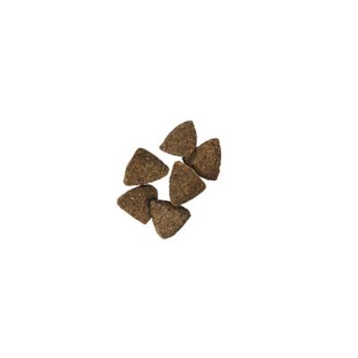 Image showing  Adult Sensitive Skin and Stomach Salmon and Rice Formula Dry Dog Food