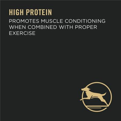 Image showing 6 th Purina Pro Plan Large Breed Adult High-Protein Chicken and Rice Formula Dry Dog Food