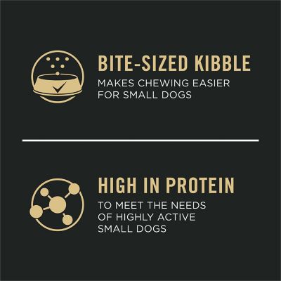 Image showing  Focus Small Breed Puppy Chicken and Rice Recipe Dry Dog Food