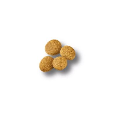Image showing  Large Breed Puppy Chicken and Rice Recipe Dry Dog Food, 18 lb. Bag