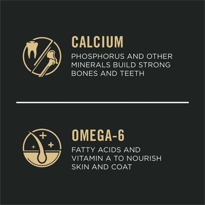 Image showing 6 th Purina Pro Plan Focus Large Breed Puppy Chicken and Rice Recipe Dry Dog Food