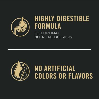 Image showing 7 th Purina Pro Plan Focus Large Breed Puppy Chicken and Rice Recipe Dry Dog Food