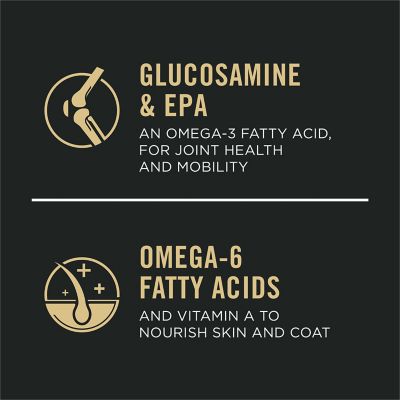 Image showing 6 th Purina Pro Plan Sport All Life Stages 30/20 Performance Chicken and Rice Formula Dry Dog Food