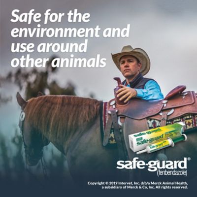 Image showing  Horse Dewormer Paste, 25g